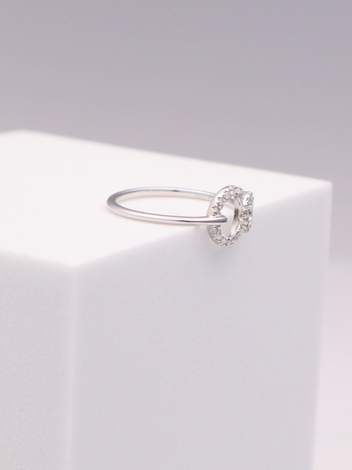 14k WG Diamond Circle Ring